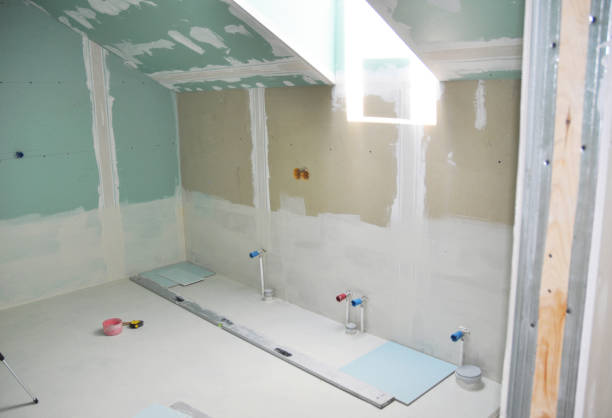 Best Crawl Space Mold Remediation  in Frankfort Square, IL