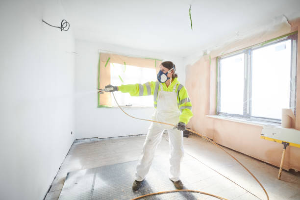 Best Mold Damage Restoration  in Frankfort Square, IL