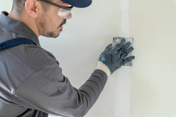 Environmental Consulting for Mold Prevention in Frankfort Square, IL
