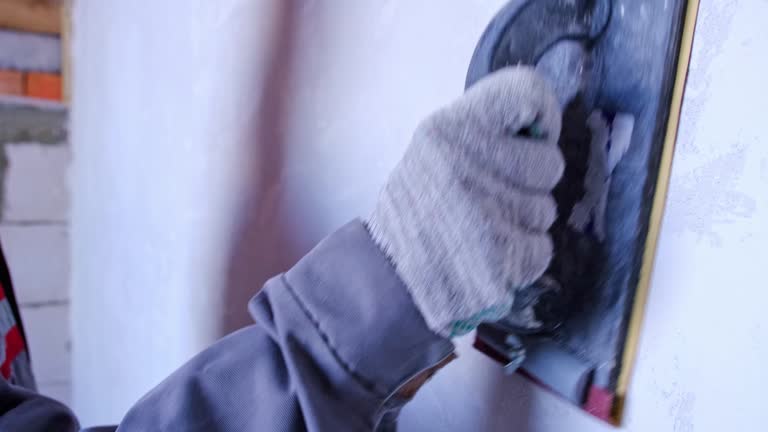 Best Black Mold Removal  in Frankfort Square, IL