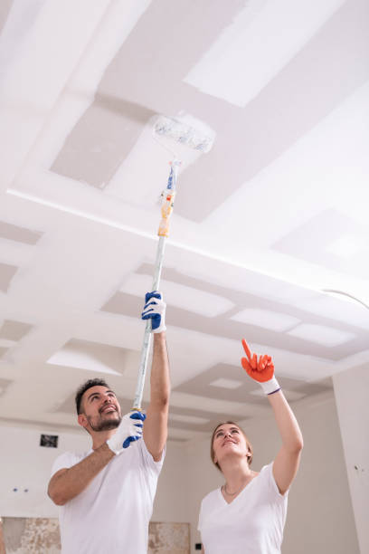 Best Comprehensive Air Testing for Mold Contaminants  in Frankfort Square, IL