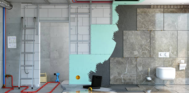 Best Mold Remediation for Healthcare Facilities  in Frankfort Square, IL