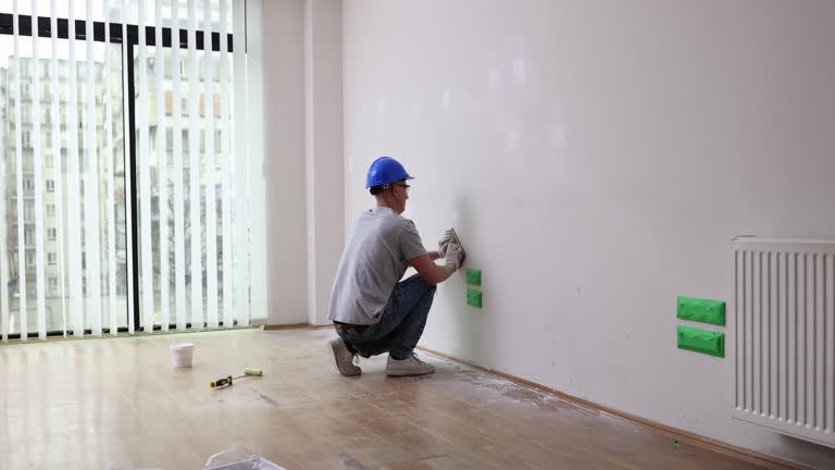 Best Black Mold Removal  in Frankfort Square, IL