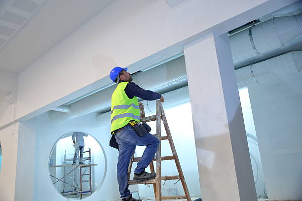 Best Biohazard Mold Removal  in Frankfort Square, IL