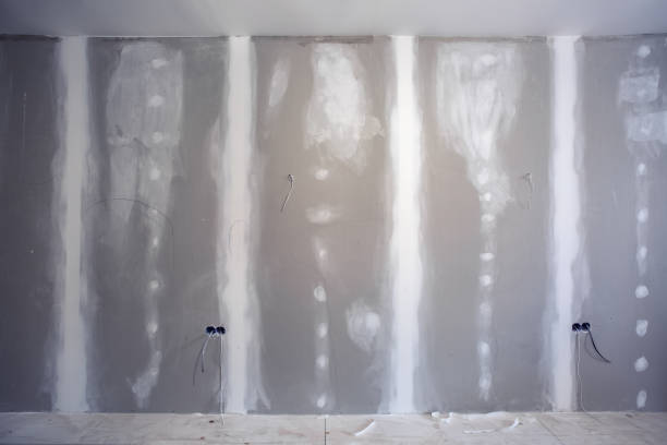 Best Mold Prevention Services  in Frankfort Square, IL